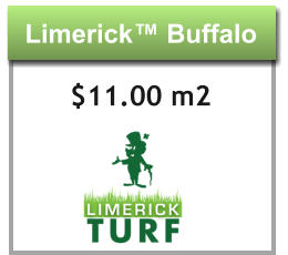Limerick™ Buffalo Limerick™ Buffalo $11.00 m2