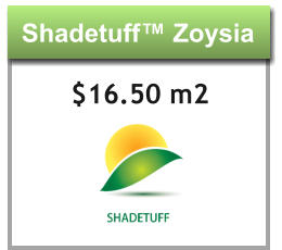 Shadetuff™ Zoysia Shadetuff™ Zoysia $16.50 m2