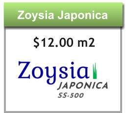 Zoysia Japonica Zoysia Japonica $12.00 m2