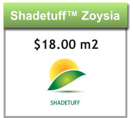 Shadetuff™ Zoysia Shadetuff™ Zoysia $18.00 m2